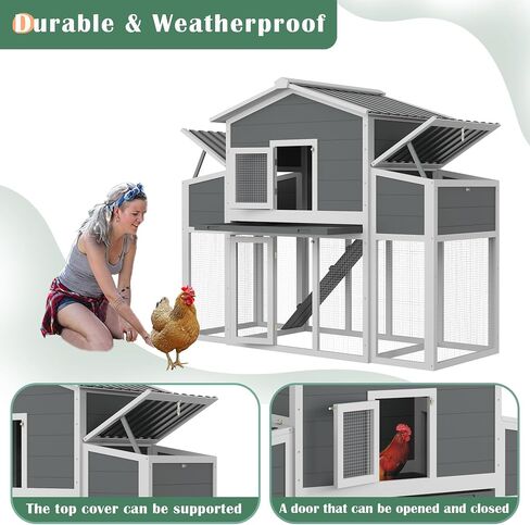 Coop Wooden Chicken For 2-6 Dickens ، منزل دجاج في الهواء الطلق مع صناديق العش وصناديق العش الخارجية ، House House House Hutch Dicken Cage مع سقف ومقاوم للماء ، (66''lx32''wx53''h) in Saudi Arabia