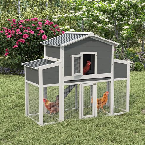 Coop Wooden Chicken For 2-6 Dickens ، منزل دجاج في الهواء الطلق مع صناديق العش وصناديق العش الخارجية ، House House House Hutch Dicken Cage مع سقف ومقاوم للماء ، (66''lx32''wx53''h) in Saudi Arabia