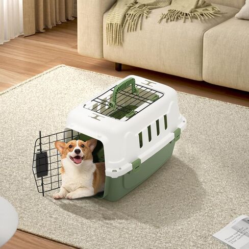 18 Inch Hard-Sided Plastic Dog Carrier 2 Door Travel Crate for Small Dogs Cats up to 10 lbs, Durable Handle, Security Lock Design, Green in Saudi Arabia