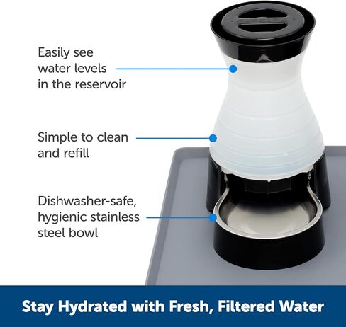 PetSafe Healthy Pet Water Station, 320 oz, Stainless Steel Bowl, Large in Kuwait