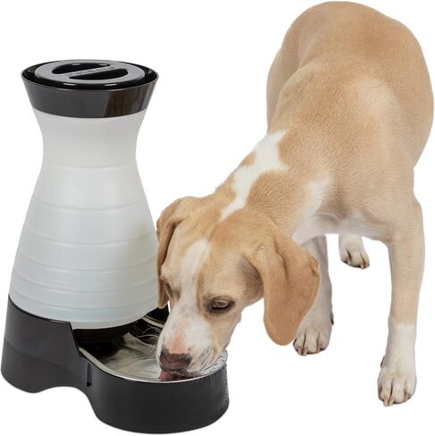PetSafe Healthy Pet Water Station, 320 oz, Stainless Steel Bowl, Large in Kuwait