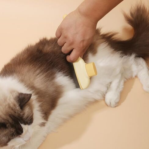 مشط البراغيث للقطط والكلاب - مشط إزالة شعر الحيوانات الأليفة ثنائية الجانب مع أسنان طويلة/قصيرة من الفولاذ المقاوم للصدأ - فرشاة فعالة للتسلق لاستقصاء وتصنيع الاستمالة in Kuwait