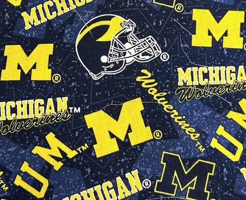 Mich-igan Football Pet Bandana (Small) in Saudi Arabia