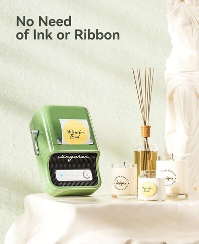 NIIMBOT B21 Label Maker Inkless Bluetooth Label Printer, 2 Inch Portable Thermal Sticker Machine for Small Business, Address, Logo, Clothing, Mailing, Candles, Jewelry, Sticker Printer for Gift, Green in Saudi Arabia