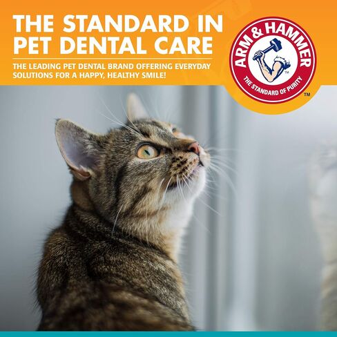 Arm & Hammer for Pets Dental Kit for Cats | Eliminates Bad Breath | 3 Piece Set Includes Cat Toothpaste, Cat Toothbrush & Cat Fingerbrush in Tasty Tuna Flavor,2.5 ounces in Saudi Arabia