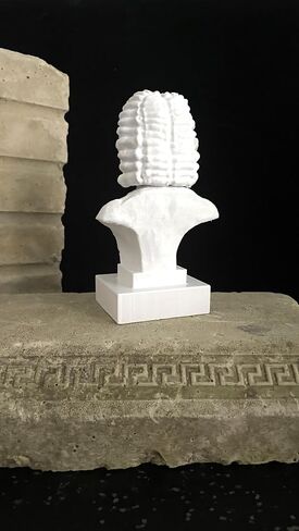 Johann Sebastian Bach Bust Musician Sculpture German Composer Bach Sculpture in Saudi Arabia