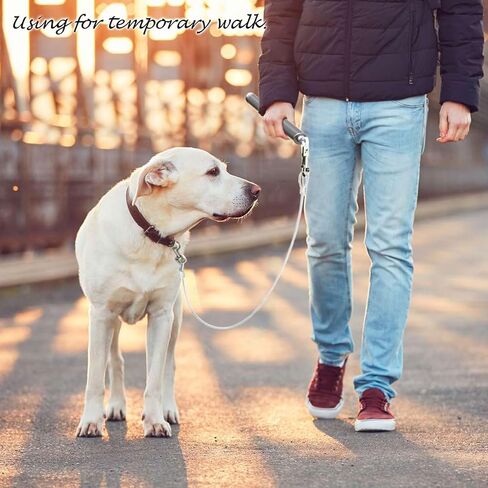 Hands-Free Bicycle Dog Leash for Cycling - 180° Rotating or Fixed Quick-Attach System, Built-in Shock-Absorbing Spring, Anti-Pull Design, Thick Steel Wire Rope 550 lbs (Carbon Fiber) in Saudi Arabia