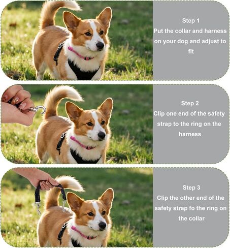 3pcs Dog Prong Collar Safety Clip, Adjustable Reflective Nylon Leash Extender Strap with Metal Dual Clasps 360° Rotatable Dog Harness Connector for Pet Walking Running and Hiking in Saudi Arabia