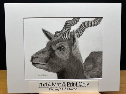 Blackbuck Antelope Nature Wildlife Graphite Pencil Sketch Drawing Picture Limited Edition 'Spirit Of The Plains' by David Allen (11x14 Mat & Print Only) in Saudi Arabia