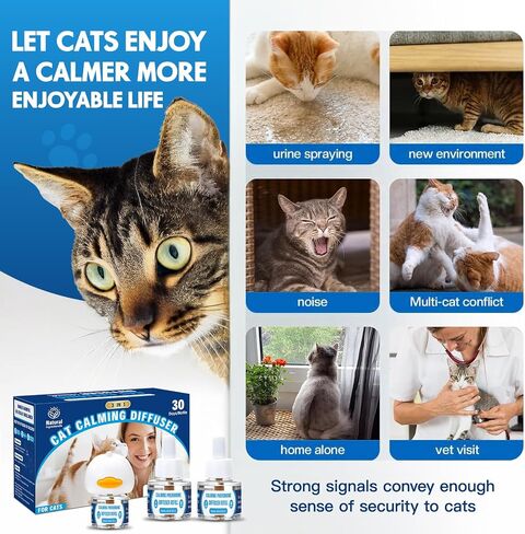 Pheromones التهدئة Cat Diffuser: 3-in-1 Kit Cat Reputing Pheromone Diffuser to to to to to to to to expliens (1 × 2 × 48 مل) للراحة يقلل من قلق الإجهاد ، والفوومون المريح منذ فترة طويلة ل Pet Cat (3in1) in Kuwait
