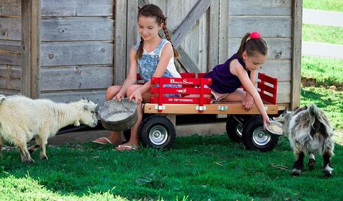 Berlin Flyer Sport Kid's Wagon - Model F410 - Amish Made in Ohio, USA - 10" No-Flat Tires (Red) in Kuwait