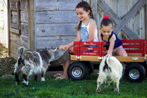 Berlin Flyer Sport Kid's Wagon - Model F410 - Amish Made in Ohio ، الولايات المتحدة الأمريكية - 10 "إطارات غير متمدة (أحمر) in Kuwait