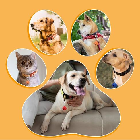 20PCS Pet Bells for Dog Cat Collar, Metal Round Cat Bell Collar with Clasps, Charm Pet Pendant Accessories Christmas Decoration Jingle Bell(Colourful) in Kuwait