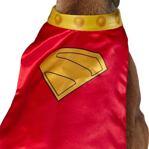 فيلم DC Superman (2025): Krypto Pet Cape & Twlar بواسطة Rubies للكلاب أو القطط ، المتوسطة in Saudi Arabia