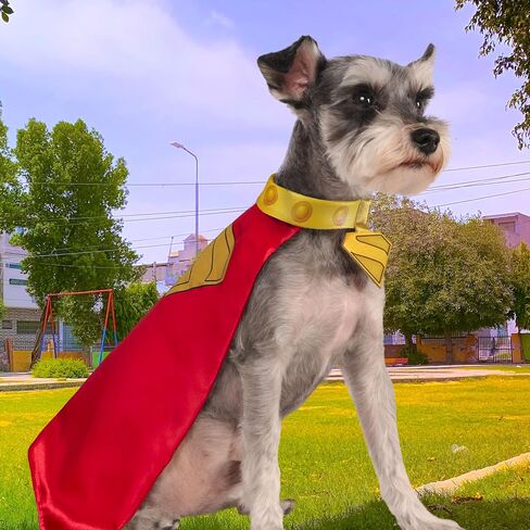 فيلم DC Superman (2025): Krypto Pet Cape & Twlar بواسطة Rubies للكلاب أو القطط ، المتوسطة in Saudi Arabia