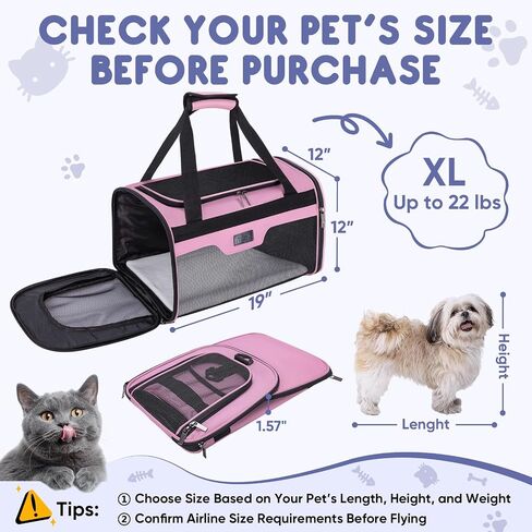 BALEINE Cat Carrier, Puppy Dog Carrier for Small Medium Pets Up to 15 Lbs, Soft-Sided Dog Travel Bag with Safety Zippers, Collapsible Pet Carrying Case (Gray, L, 17"x11"x11") in Saudi Arabia