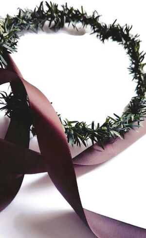 Wild Leaves Hair Crown For Nature Themed Wedding, Christmas Boho Bridal shower in Saudi Arabia