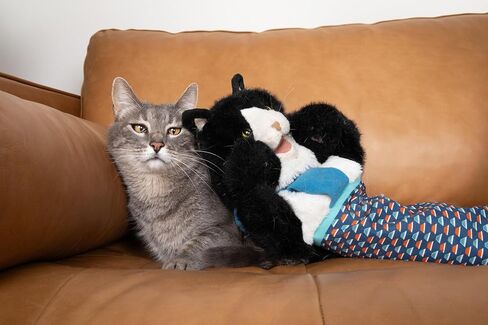 The Original CATSUMO Interactive Cat Wrestling Puppet in Saudi Arabia