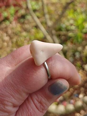 Fake Nose Ring with a Nose Stud Bone Ring - Gag Gift - Pun in Saudi Arabia