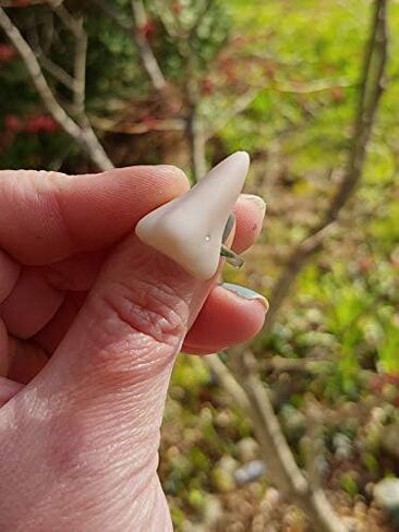 Fake Nose Ring with a Nose Stud Bone Ring - Gag Gift - Pun in Saudi Arabia
