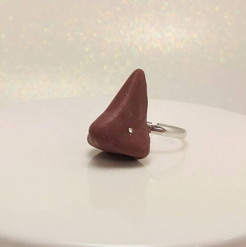 Fake Nose Ring with a Nose Stud Bone Ring - Gag Gift - Pun in Saudi Arabia