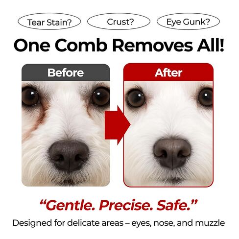 Jayu Pet Facial Grooming Comb - Cog Eye Combs ، مزيل البقع الخالية من الإجهاد للكلاب والقطط ، فرشاة الوجه للحيوانات الأليفة ، مجموعة Cat Grooming ، مشط الفولاذ المقاوم للصدأ (1A) in Saudi Arabia