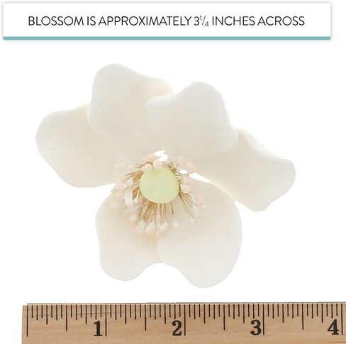 Global Sugar Art Anemone Wind Flower Sugar Cake Flowers Hot Pink, 3 Count by Chef Alan Tetreault in Saudi Arabia