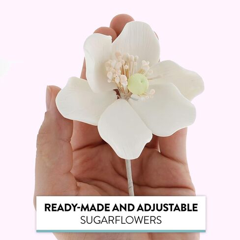 Global Sugar Art Anemone Wind Flower Sugar Cake Flowers Hot Pink, 3 Count by Chef Alan Tetreault in Saudi Arabia