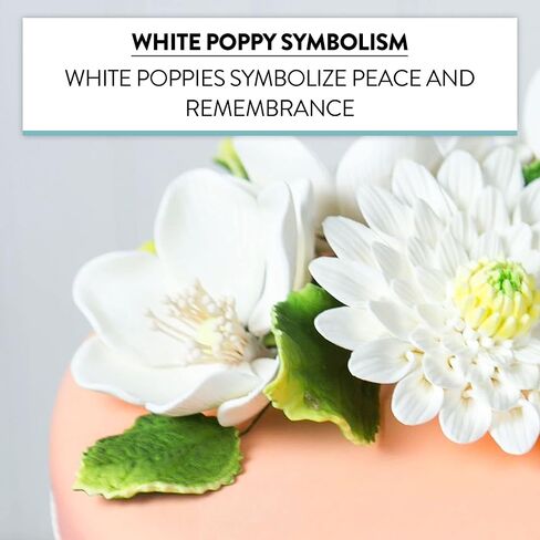 Global Sugar Art Anemone Wind Flower Sugar Cake Flowers Hot Pink, 3 Count by Chef Alan Tetreault in Saudi Arabia