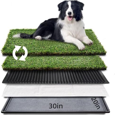 LITA Dog Grass Pad with Tray - Dog Litter Box with 2 Artificial Grass Pads - Potty Tray for Balcony Apartment Indoor Outdoor Use - 20x30 INCH in Kuwait