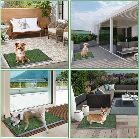 LITA Dog Grass Pad with Tray - Dog Litter Box with 2 Artificial Grass Pads - Potty Tray for Balcony Apartment Indoor Outdoor Use - 20x30 INCH in Kuwait