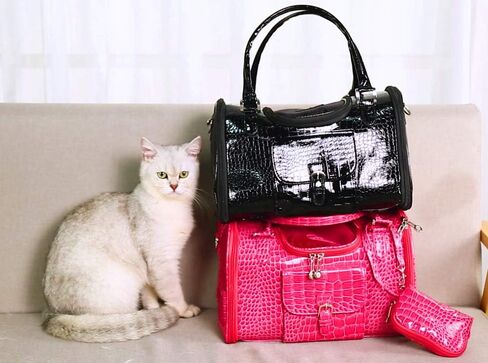 PU Dog Dog Based Dog Prest Cat Bag Pet Cat Dog Bag Bag. in Saudi Arabia