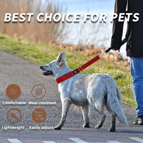 Martingale No Pull Cog Collar للكلاب الكبيرة المتوسطة الصغيرة ، والنيايلون الثقيلة عاكسة قابلة للتعديل طوق الانزلاق السحب مع مشبك للتدريب المشي S الأحمر in Kuwait