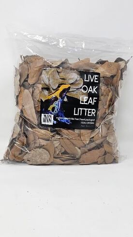 Live Live Leaf Stertricle Terrarium Bedding Isopod Dart Frog الركيزة (1 جالون) in Saudi Arabia