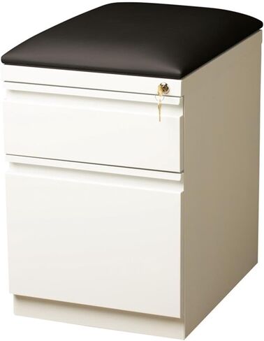BOWERY HILL 20" 2-Drawer Modern Metal Mobile Pedestal File Cabinet in Black in Saudi Arabia