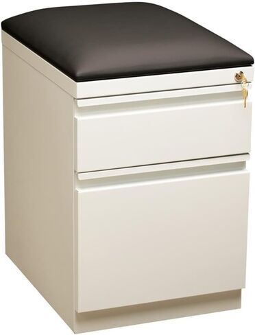 BOWERY HILL 20" 2-Drawer Modern Metal Mobile Pedestal File Cabinet in Black in Saudi Arabia
