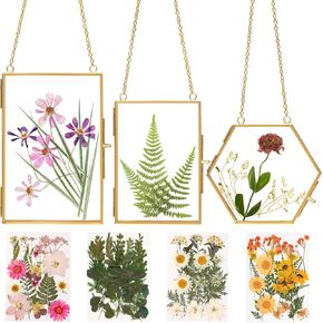 Double Glass Frame for Pressed Flowers - w/Real Dried Flowers and Tweezer for Handicrafts, Photo, or Other Small Flat Items
