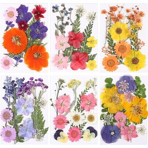 eBoot 72 Pcs Dried Pressed Flowers for Resin Molds Real Pressed Flowers Dry Leaves Bulk Natural Herbs Kit for Scrapbooking DIY Art Crafts Jewelry Molds Candle Soap Making Nails Decor(Gorgeous Style) in Kuwait