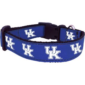 NCAA Kentucky Wildcats Dog Collar (Team Color, Medium)