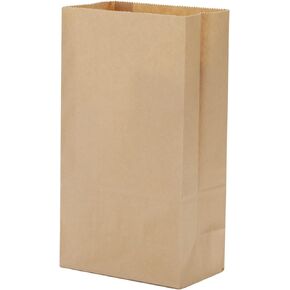 40 Count White Grocery Lunch Bag Kraft Paper Bags 4 lb Capacity