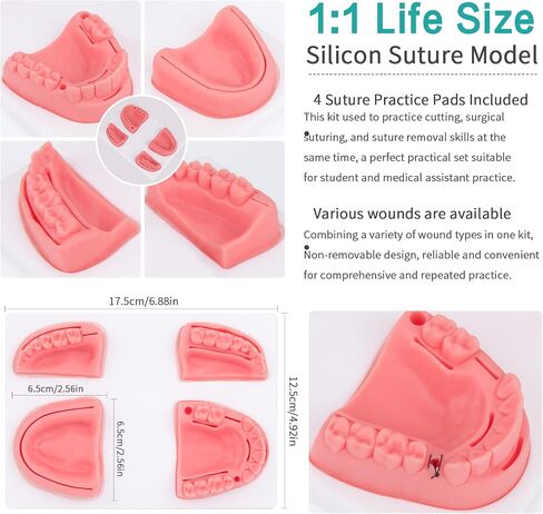 Dental Oral Practice Kit - Dental Training Kit with 4 Soft Silicone Oral Pad - 25 Pcs Set Practice Kit for Dentist Practice & Assistant Student Training in Saudi Arabia