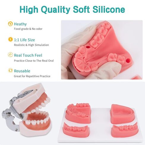 Dental Oral Practice Kit - Dental Training Kit with 4 Soft Silicone Oral Pad - 25 Pcs Set Practice Kit for Dentist Practice & Assistant Student Training in Saudi Arabia