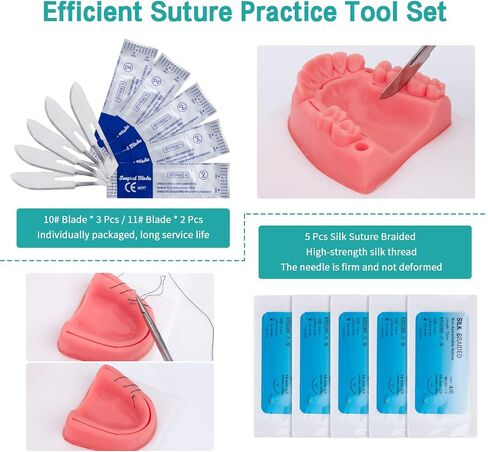 Dental Oral Practice Kit - Dental Training Kit with 4 Soft Silicone Oral Pad - 25 Pcs Set Practice Kit for Dentist Practice & Assistant Student Training in Saudi Arabia