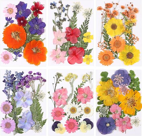 eBoot 72 Pcs Dried Pressed Flowers for Resin Molds Real Pressed Flowers Dry Leaves Bulk Natural Herbs Kit for Scrapbooking DIY Art Crafts Jewelry Molds Candle Soap Making Nails Decor(Gorgeous Style) in Kuwait