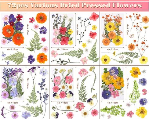 eBoot 72 Pcs Dried Pressed Flowers for Resin Molds Real Pressed Flowers Dry Leaves Bulk Natural Herbs Kit for Scrapbooking DIY Art Crafts Jewelry Molds Candle Soap Making Nails Decor(Gorgeous Style) in Kuwait