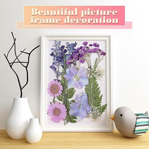 eBoot 72 Pcs Dried Pressed Flowers for Resin Molds Real Pressed Flowers Dry Leaves Bulk Natural Herbs Kit for Scrapbooking DIY Art Crafts Jewelry Molds Candle Soap Making Nails Decor(Gorgeous Style) in Kuwait