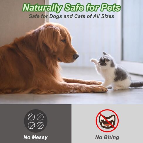 36 Pack Stray Cats and Dogs Repellent Balls for Outdoor, Natural Peppermint Oil to Keep Cat Scratch Away from Indoor Furniture, Lawns, Yards, Gardens, Safe for Humans & Pets in Kuwait