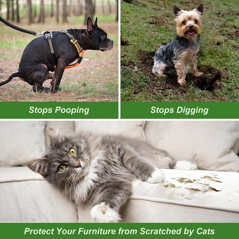36 Pack Stray Cats and Dogs Repellent Balls for Outdoor, Natural Peppermint Oil to Keep Cat Scratch Away from Indoor Furniture, Lawns, Yards, Gardens, Safe for Humans & Pets in Kuwait