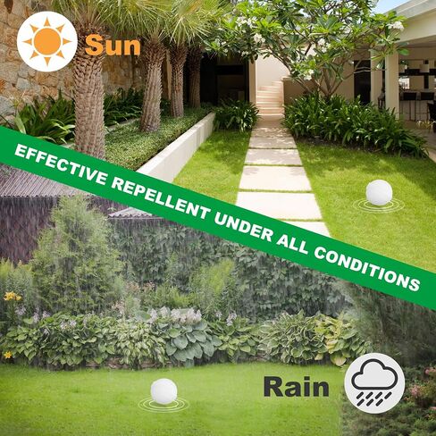 36 Pack Stray Cats and Dogs Repellent Balls for Outdoor, Natural Peppermint Oil to Keep Cat Scratch Away from Indoor Furniture, Lawns, Yards, Gardens, Safe for Humans & Pets in Kuwait
