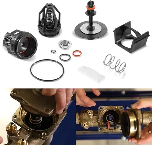 0887794 009M2 1-1/4" - 1-1/2" طقم إصلاح إجمالي لمنطقة الضغط المنخفض، للسلسلة 009M2/LF & 4000BM2، التجنيب 0887794 887794 RK 009M2-T in Saudi Arabia